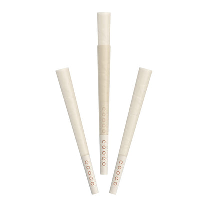 Pre-Rolled Cones with Filters Pack of 48