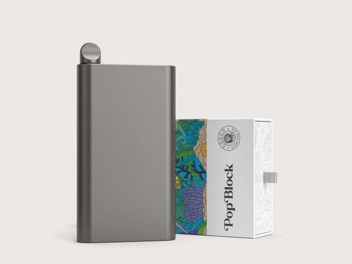Pop Block / Smell Proof Hard Joint Case